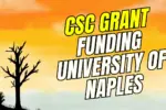 CSC Grant Funding University of Naples