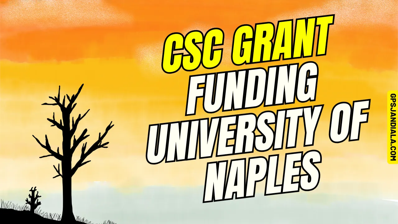 CSC Grant Funding University of Naples